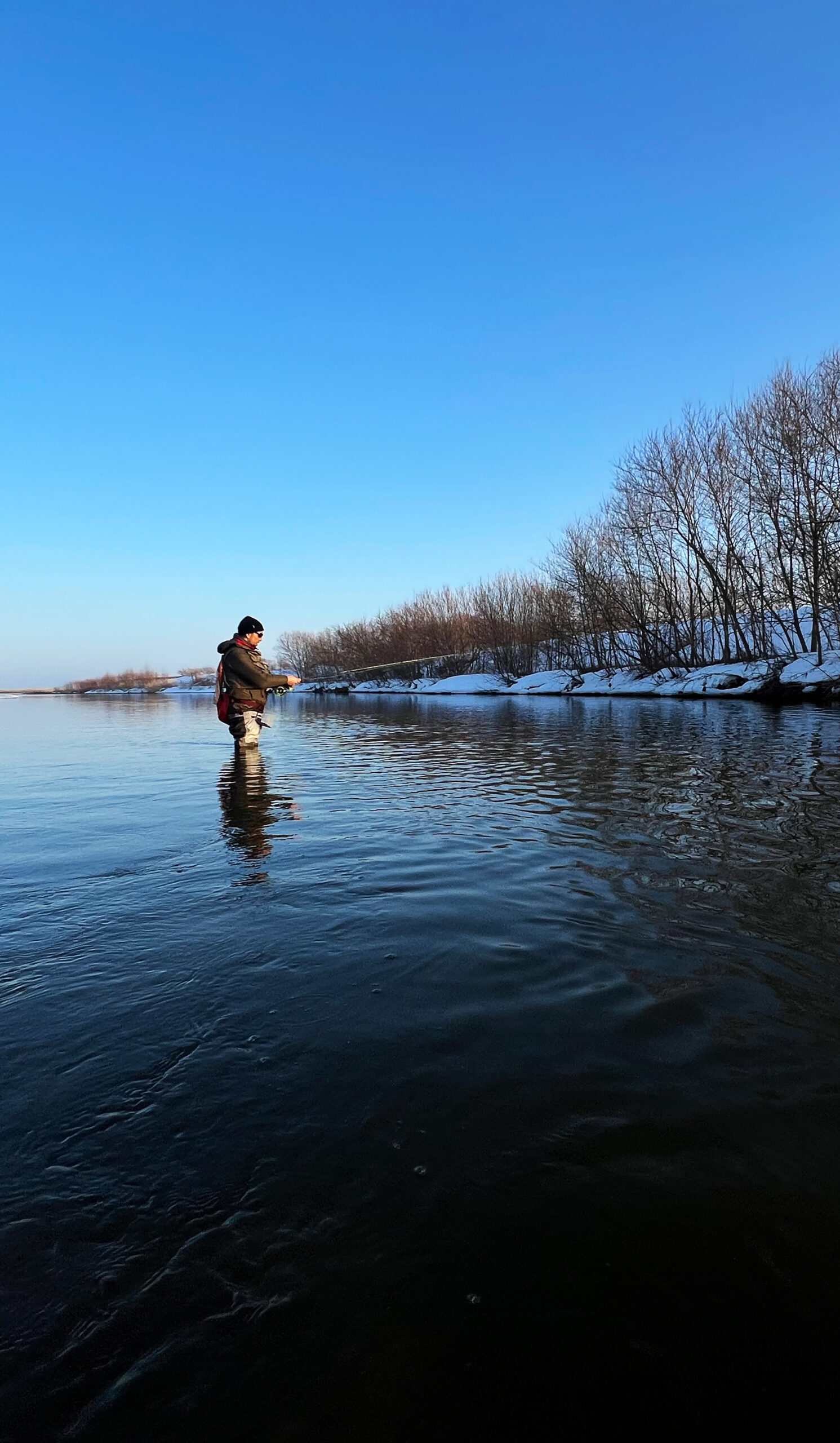 「ヤマガブランクス FLYサイト」