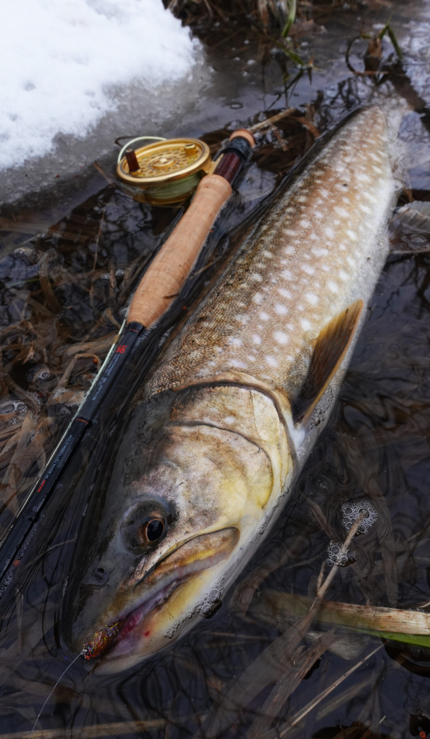 「ヤマガブランクス FLYサイト」