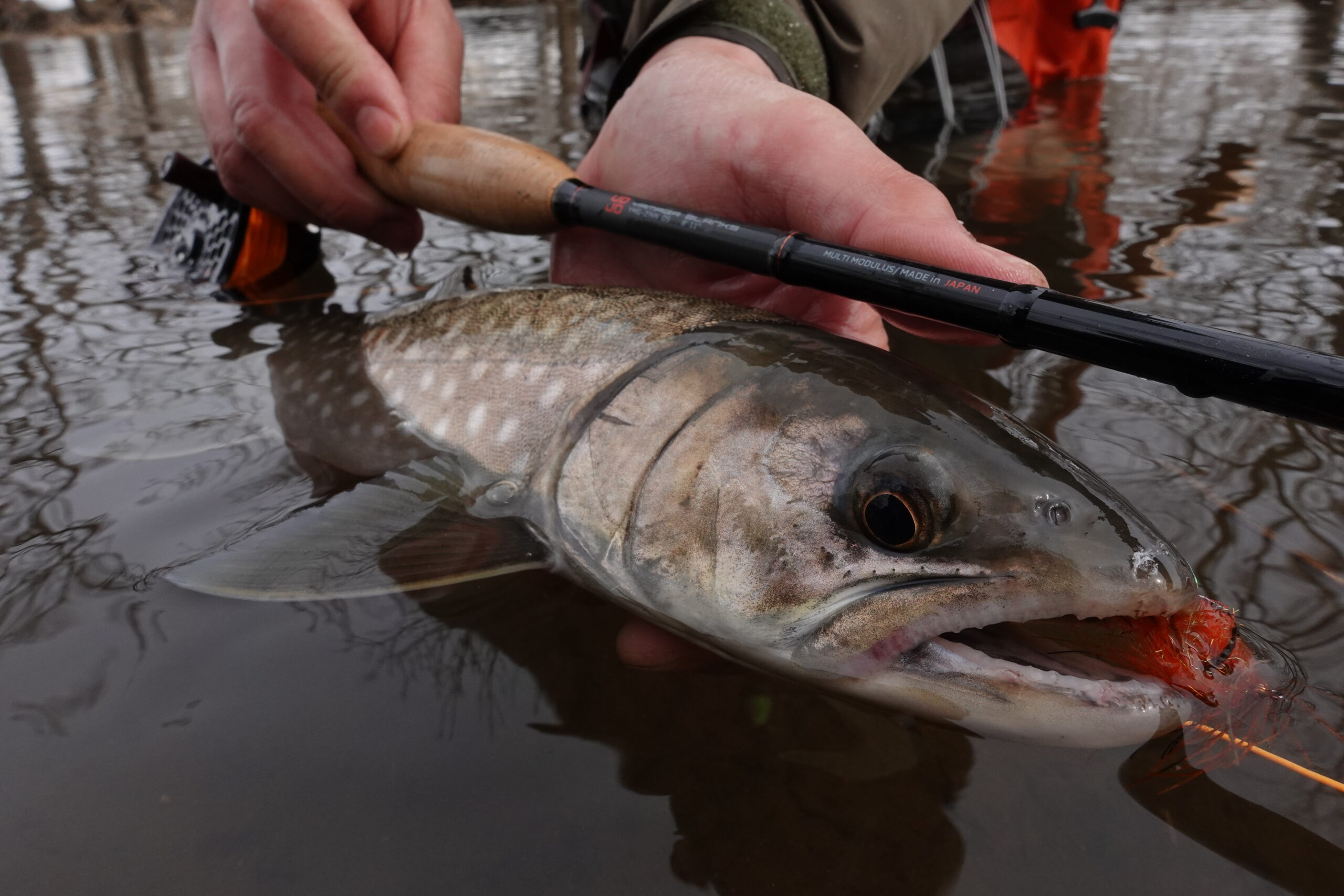 「ヤマガブランクス FLYサイト」