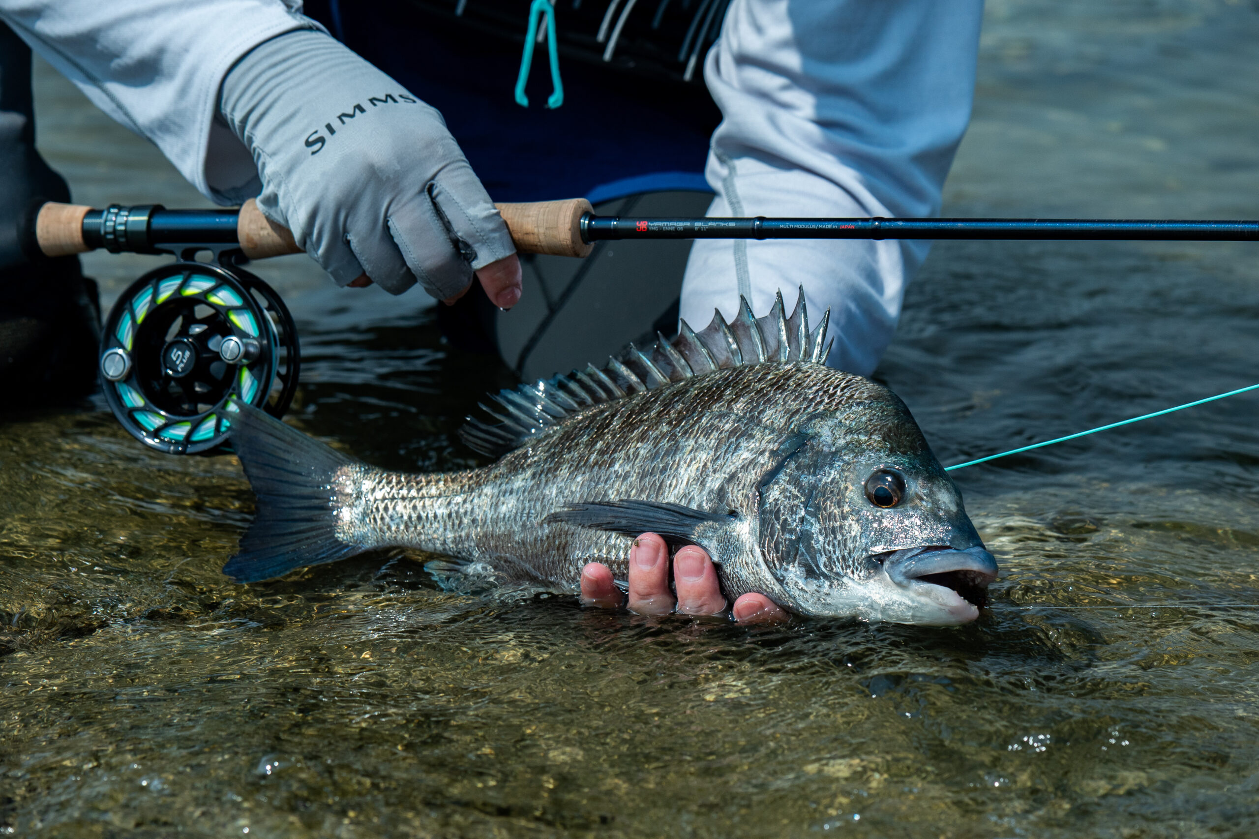 「ヤマガブランクス FLYサイト」