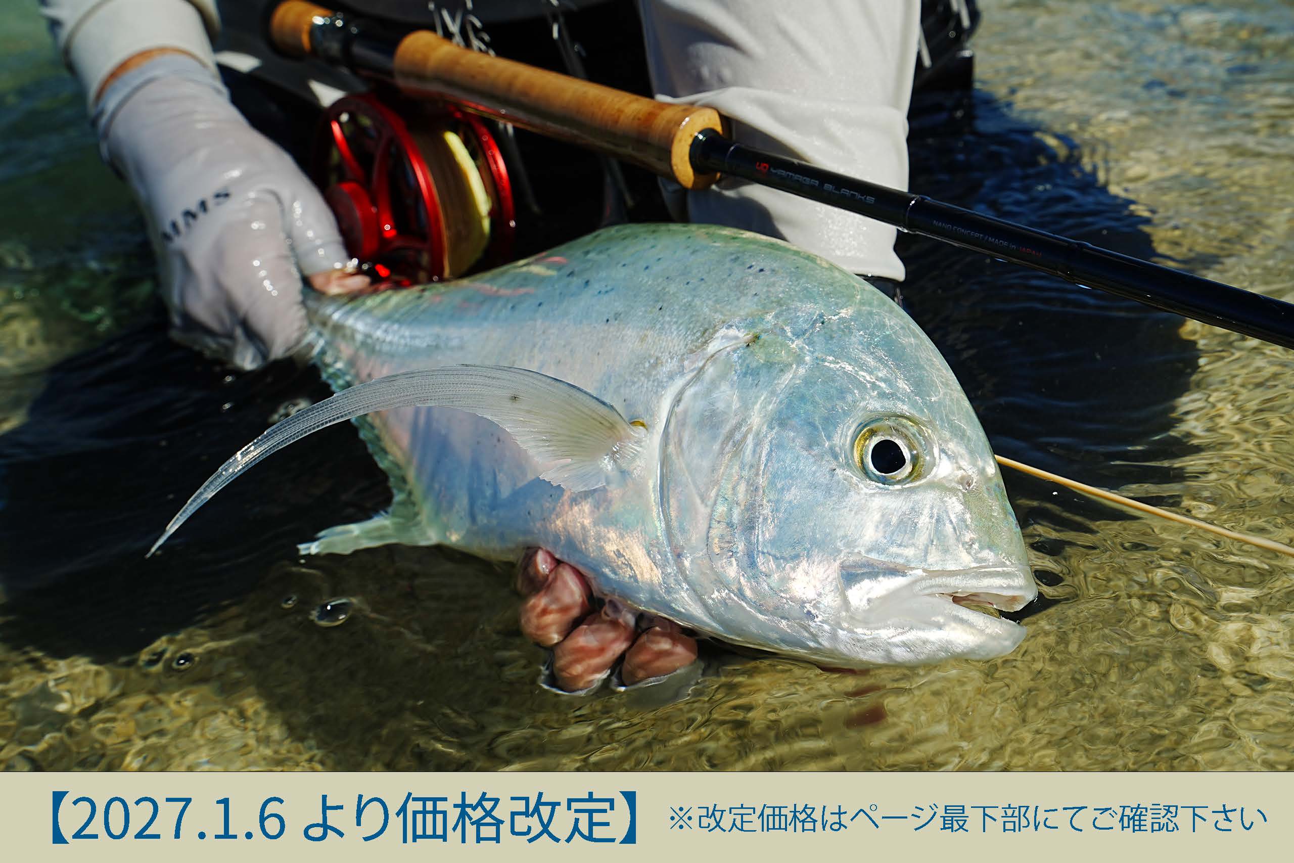 「ヤマガブランクス FLYサイト」