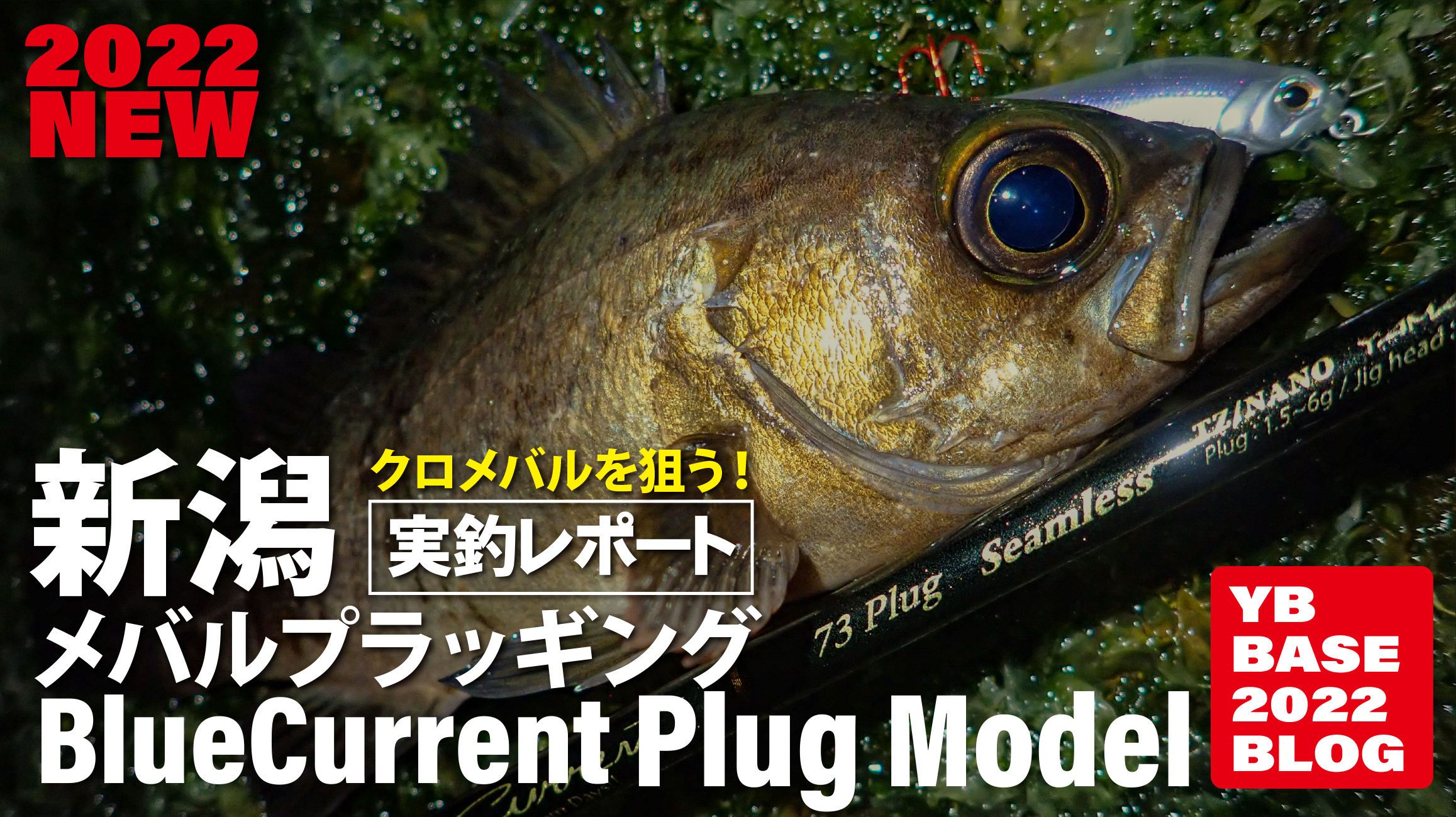 【クロメバル(ブルーバック狙い!! 】BlueCurrent Plug 610Quickness / 73Seamless
