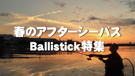 【解説ブログ】シーズン特集「春のアフターシーバス・Ballistick特集」