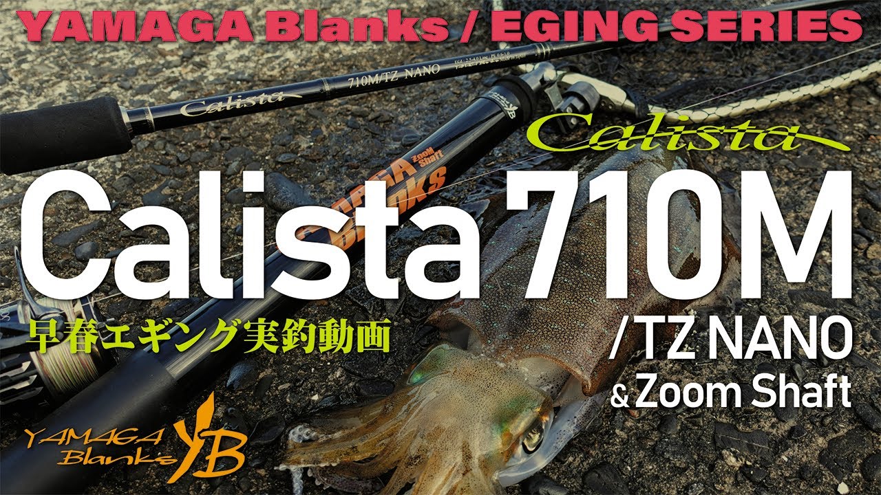 【実釣動画】Calista710M TZ/NANO × 早春エギング実釣【春イカ】