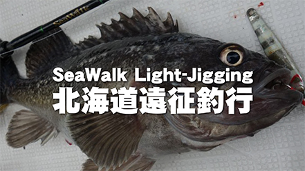【解説ブログ】北海道遠征釣行 – SeaWalk Light-Jiggingを使用したオフショア編