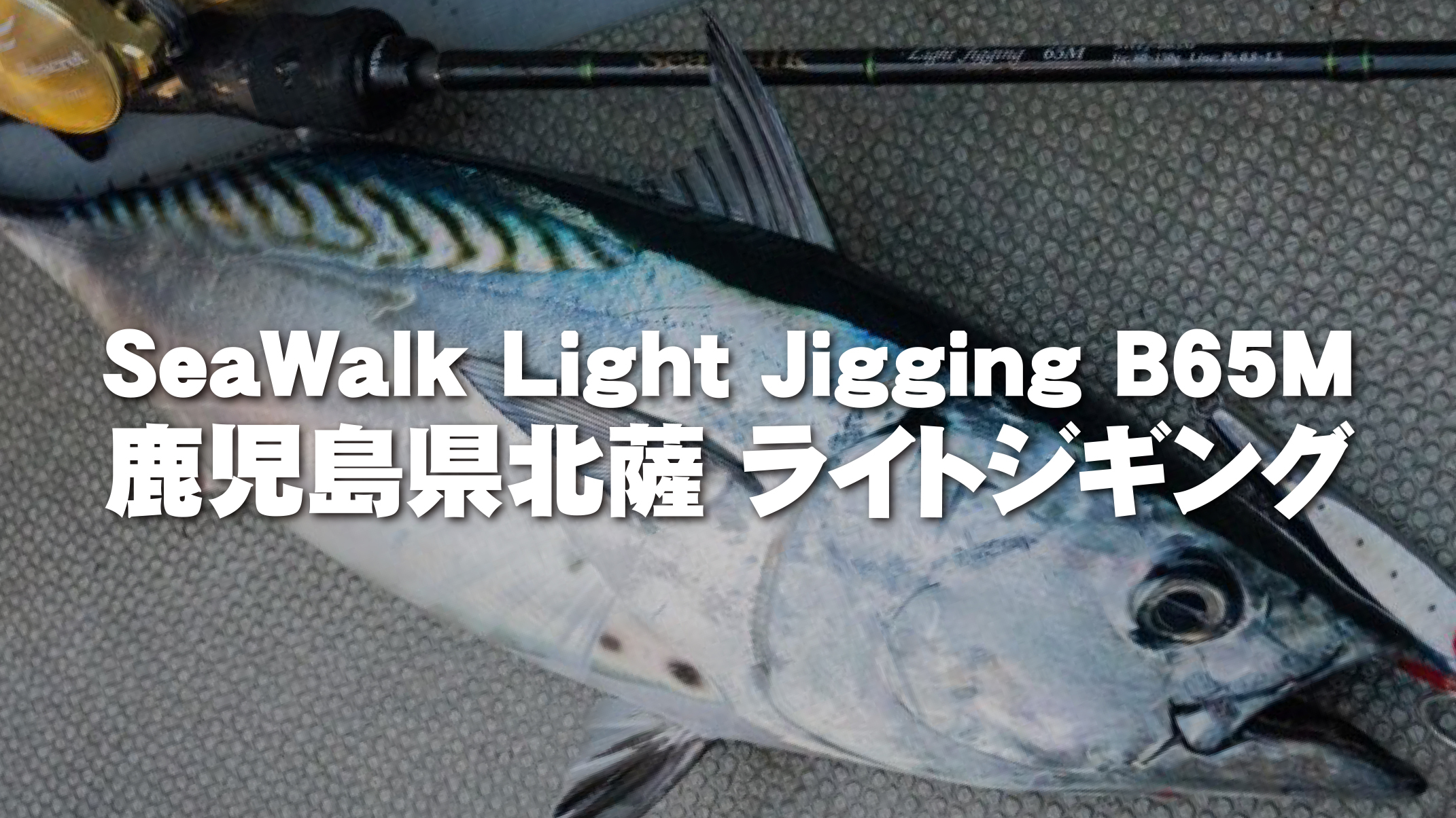 【フィールドスタッフレポート】『鹿児島県北薩 ライトジギング』SeaWalk Light Jigging B65M