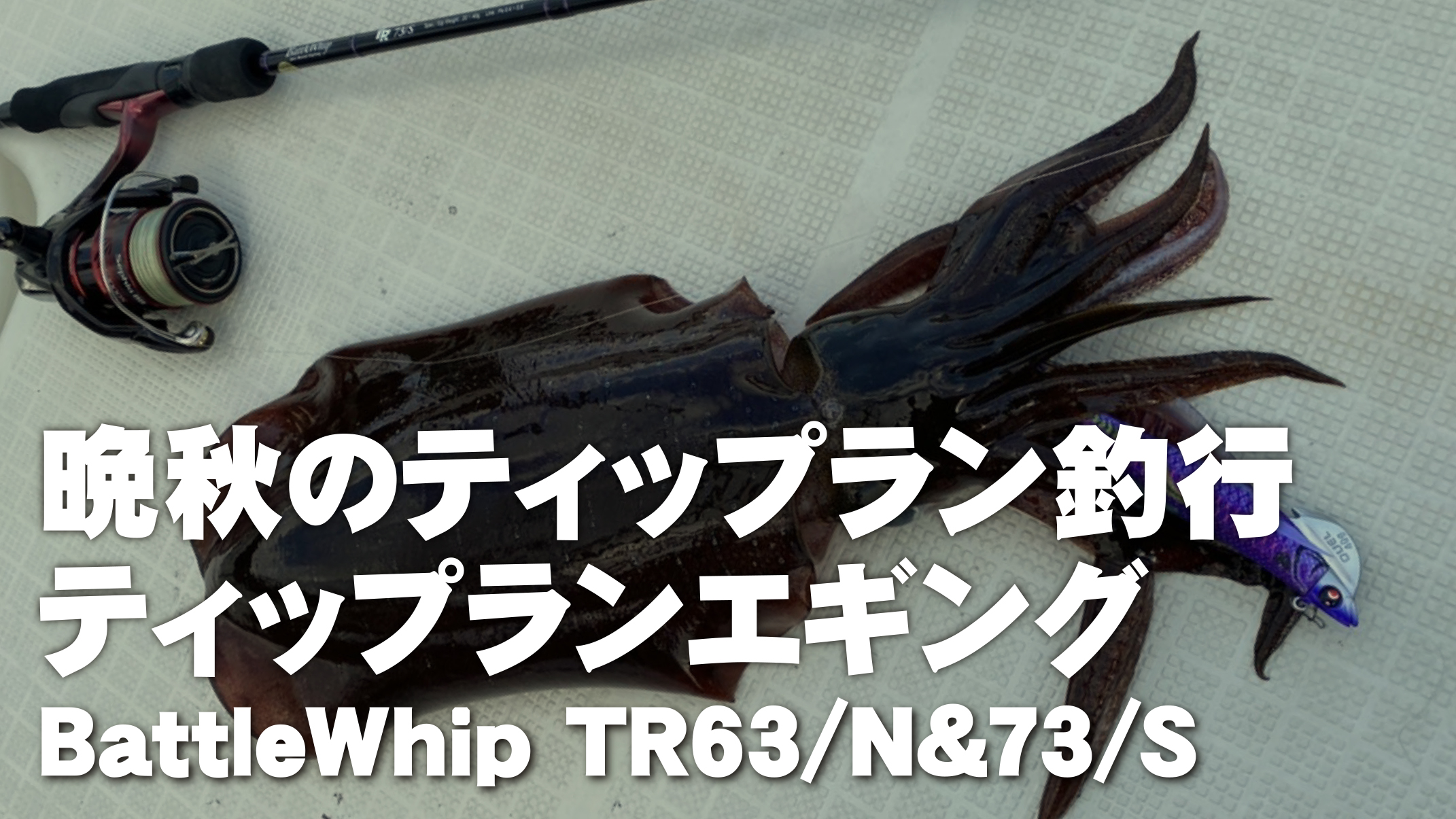 【フィールドスタッフレポート】『晩秋のティップラン釣行』BattleWhip TR63/N&73/S