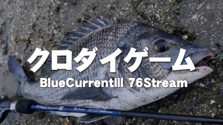 【フィールドスタッフレポート】『クロダイゲーム』BlueCurrentⅢ 76Stream