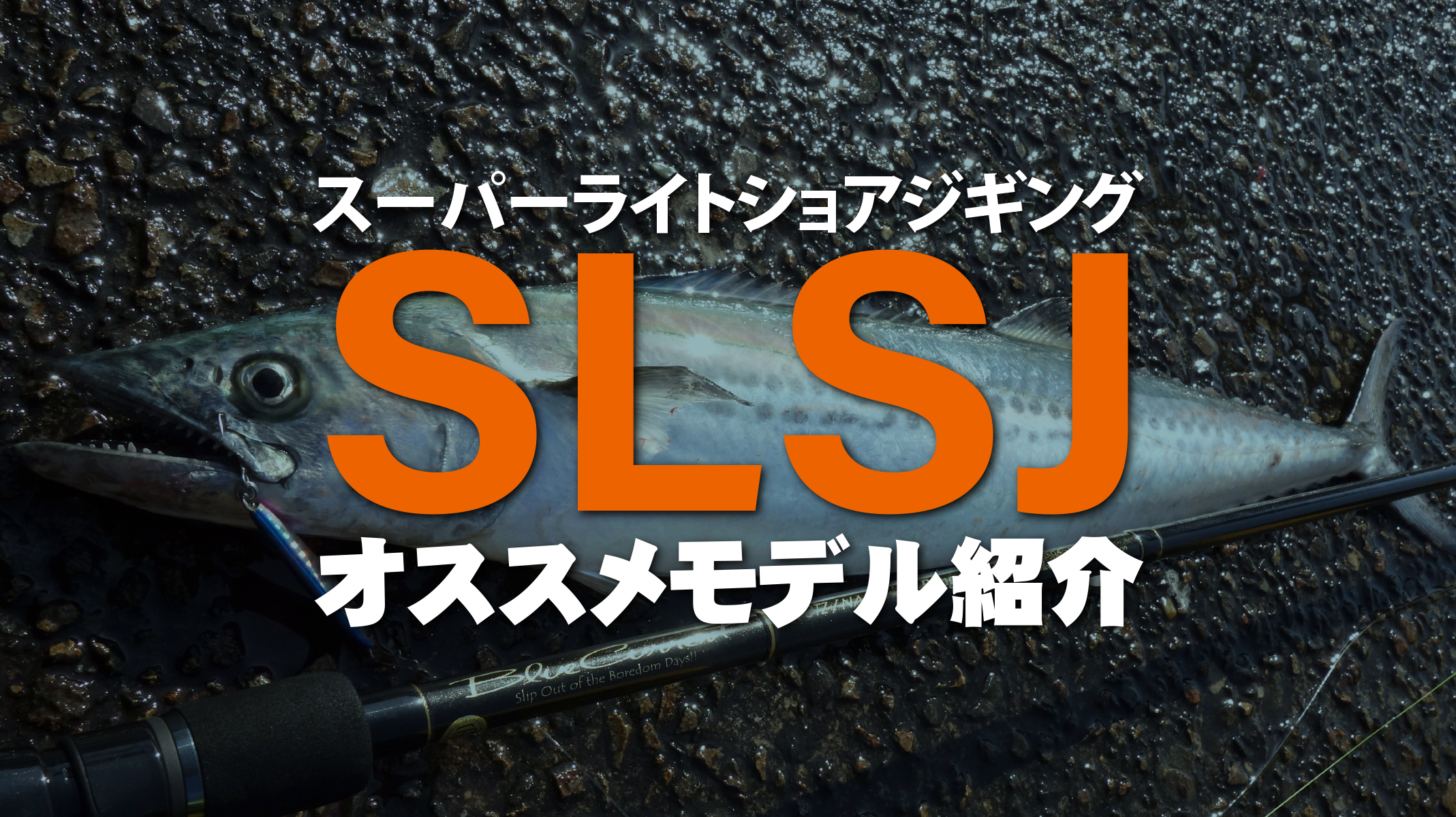 【解説ブログ】「SLSJ（スーパーライトショアジギング）おすすめロッド紹介！」