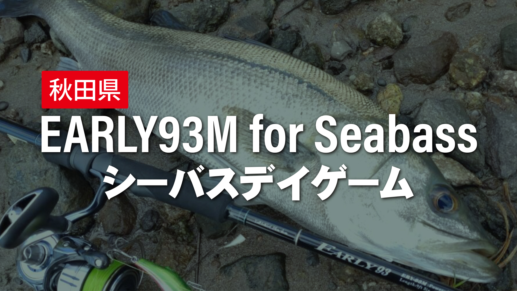 【フィールドスタッフレポート】秋田県シーバスデイゲーム EARLY93M for Seabass