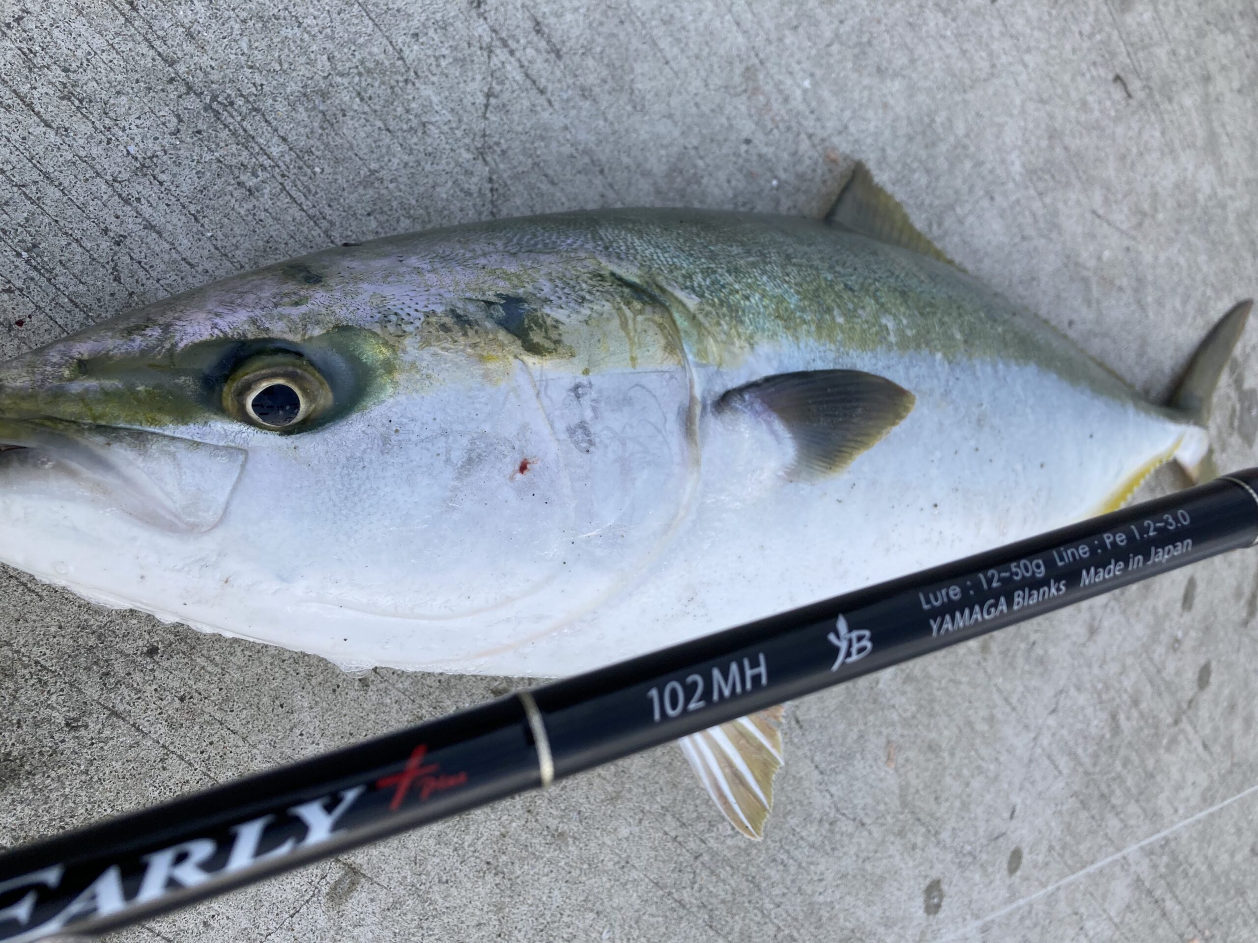 徳島県】メジロ EARLY+102MH | YAMAGA BlanksYAMAGA Blanks