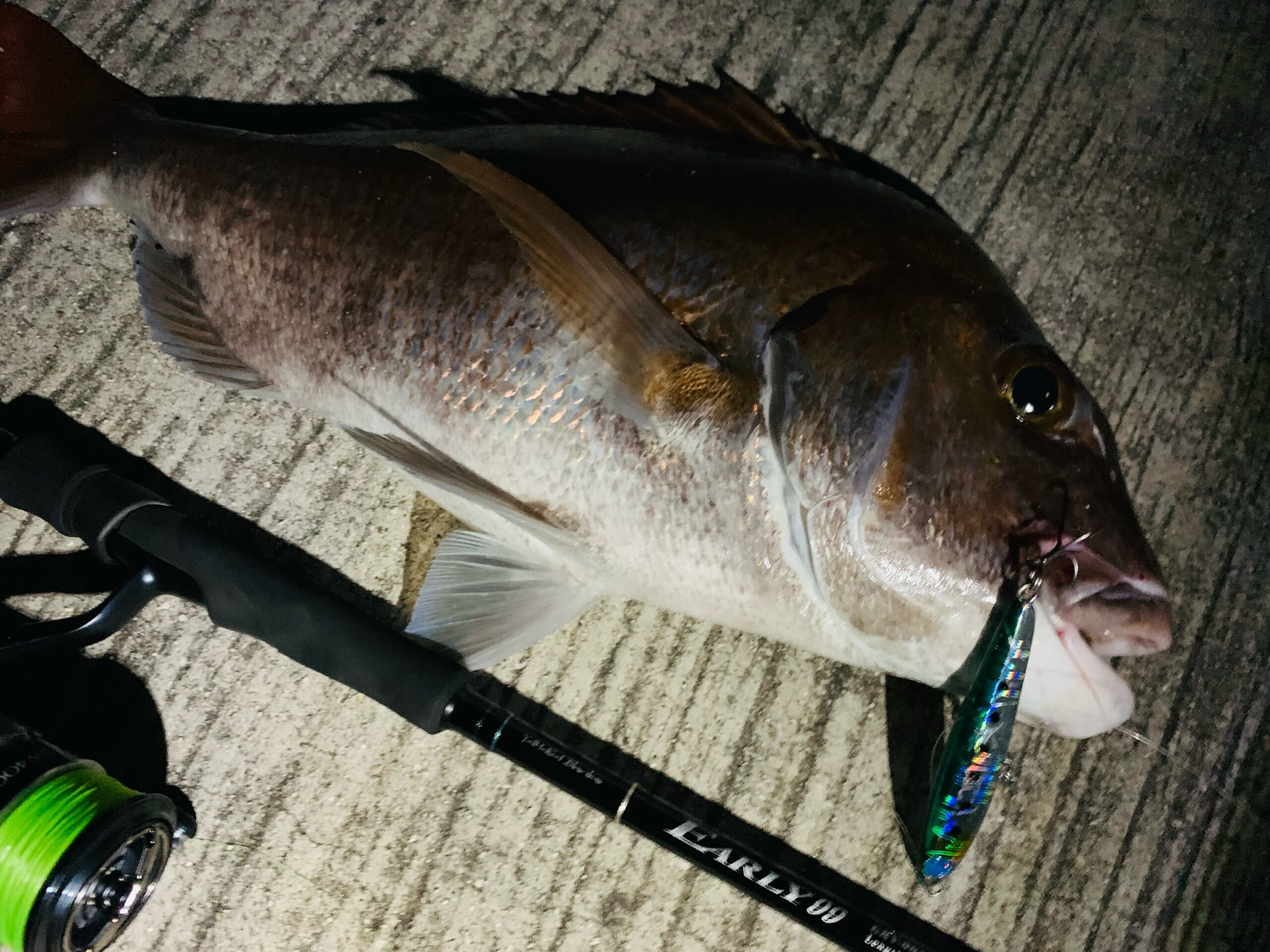 □□YAMAGA Blanks ヤマガブランクス EARLY99  ERY-99ML ヤマガブランクス アーリー99ML