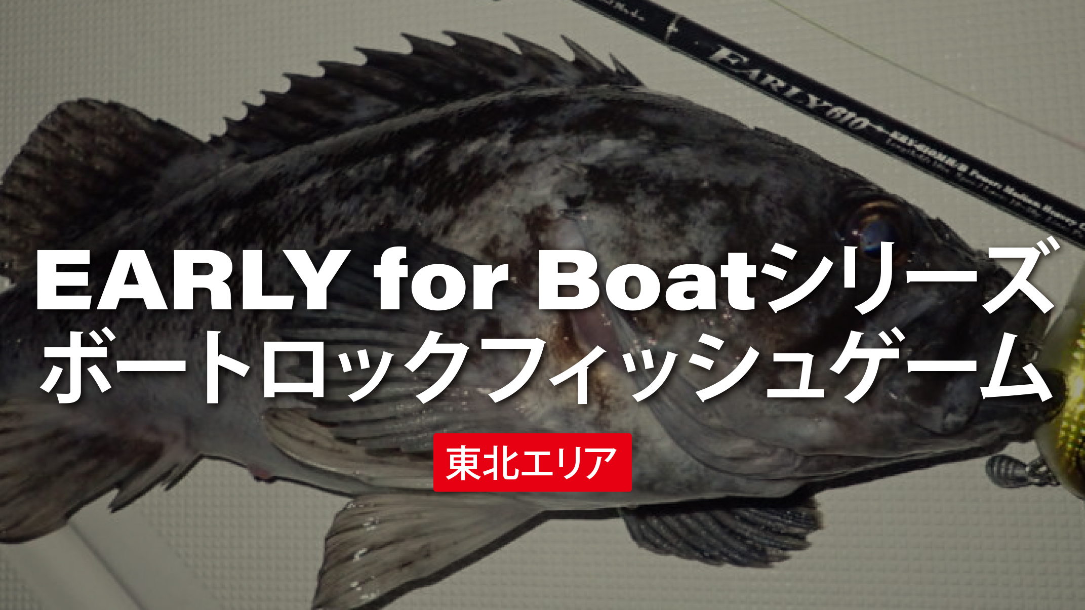 EARLY 68M for Boat | YAMAGA Blanks