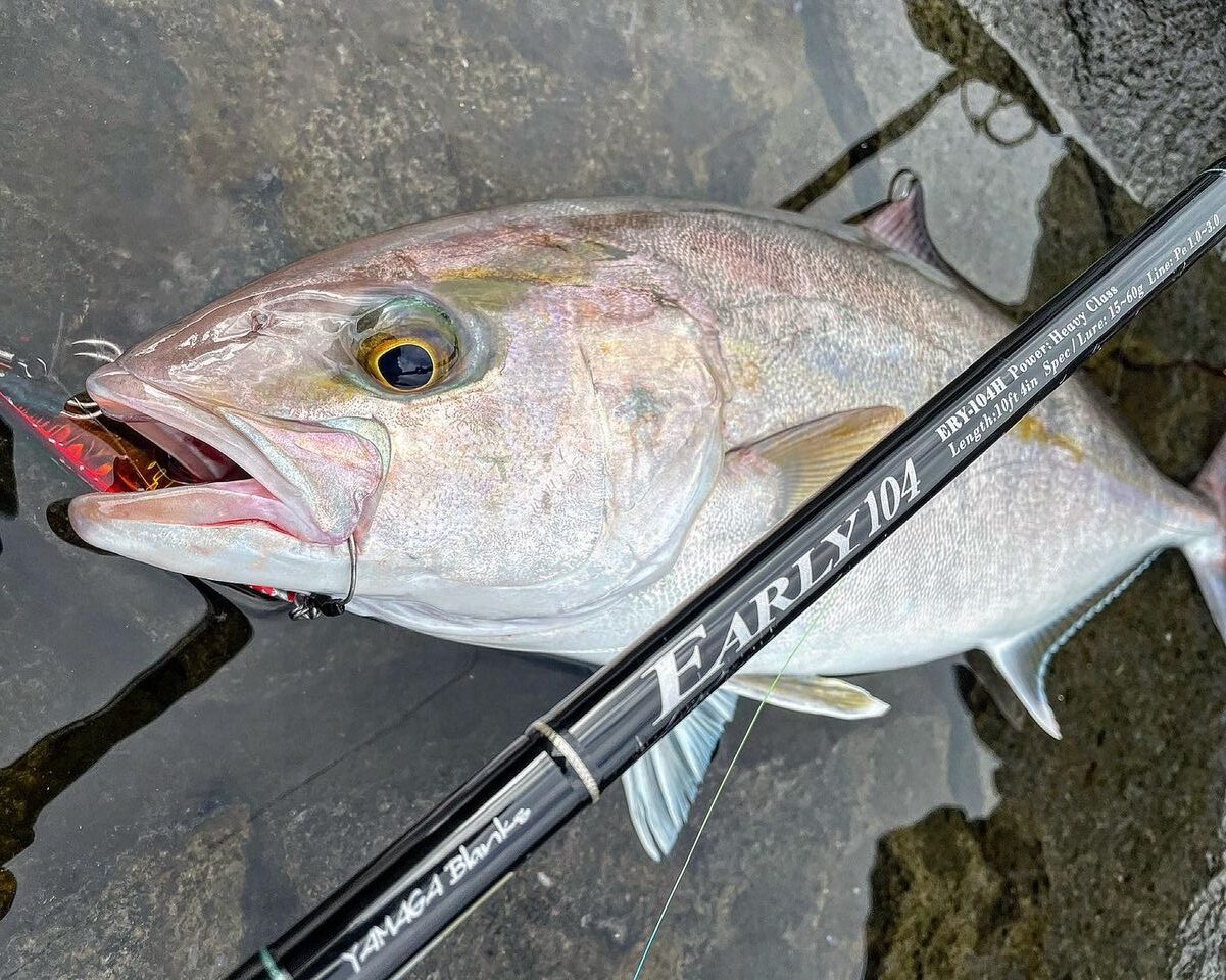 ヤマガブランクス アーリー 104H フォーロック 根魚 青物 ライト