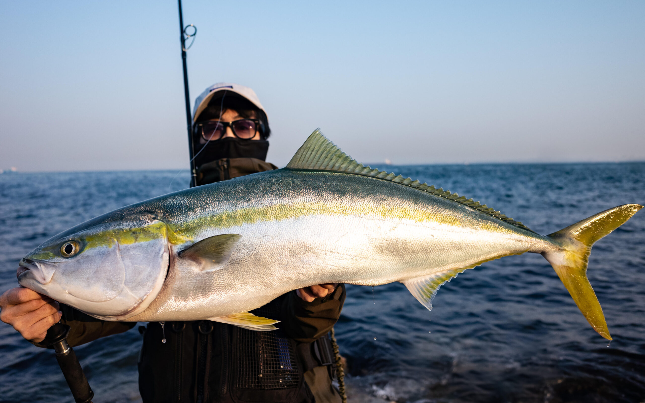 淡路島】ショアブリ BlueSniper103L PlugSpecial | YAMAGA Blanks 淡路島】ショアブリ BlueSniper103L PlugSpecial | YAMAGA Blanks