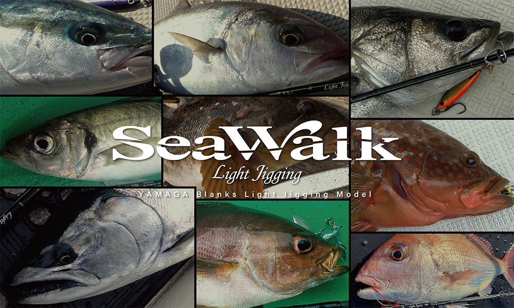 【程度良好美品★】ヤマガブランクス シーウォーク ライトジギング 65M YAMAGA Blanks Sea Walk Light Jigging マダイ イサキ 等に（CKN_O1