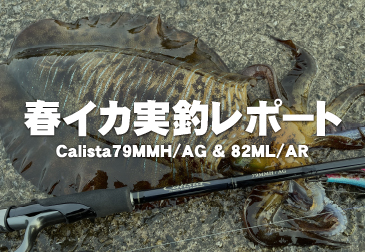 【釣行レポート】Calista 79MMH/AG ＆ 82ML/AR 春イカエギング