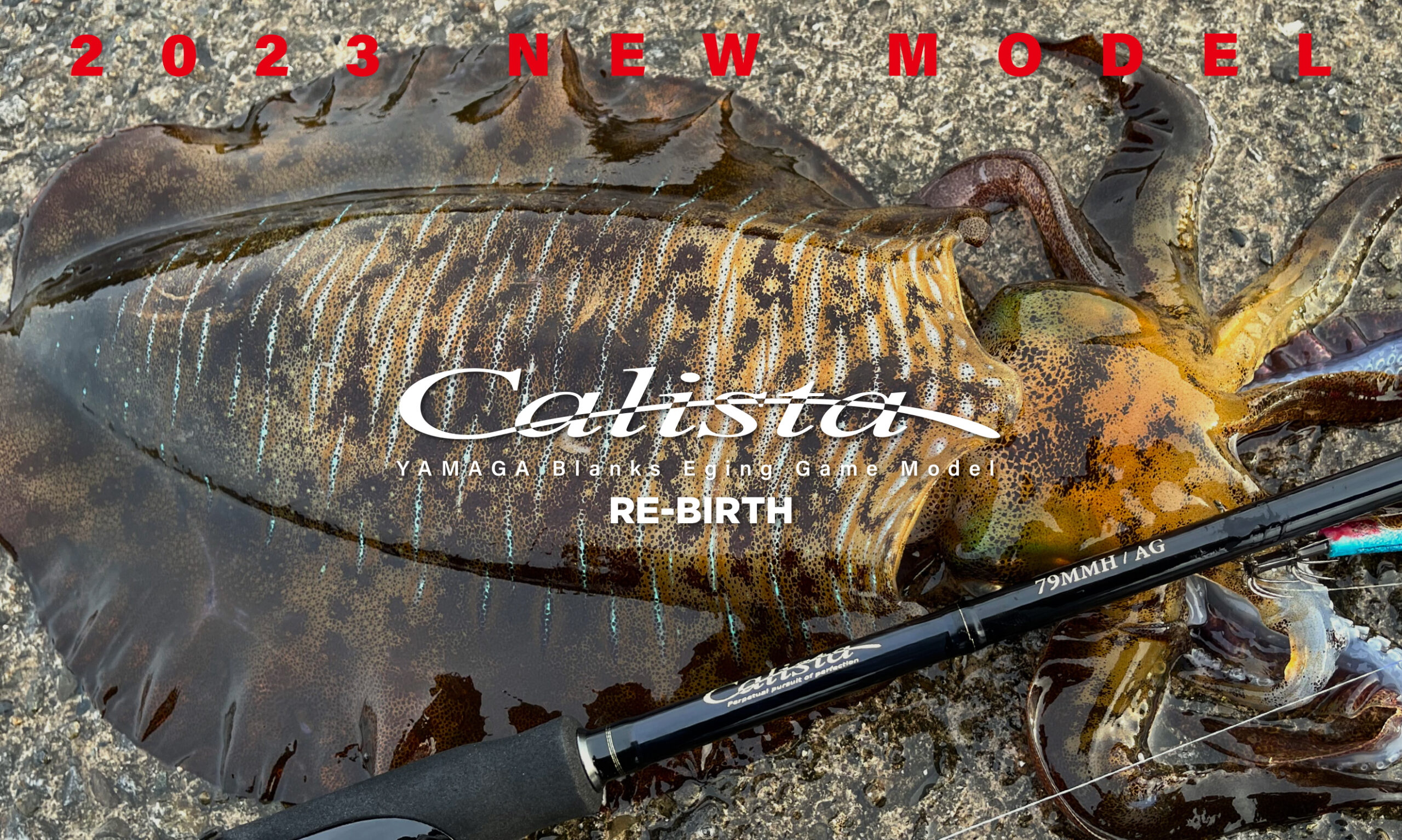 Calista | YAMAGA Blanks Calista | YAMAGA Blanks