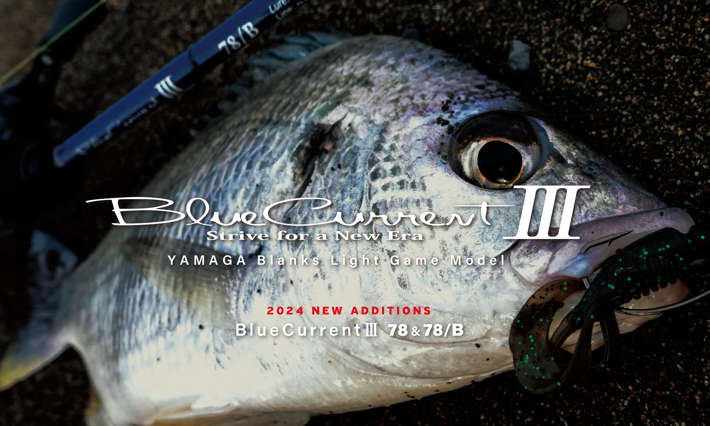 BlueCurrent Ⅲ | YAMAGA Blanks