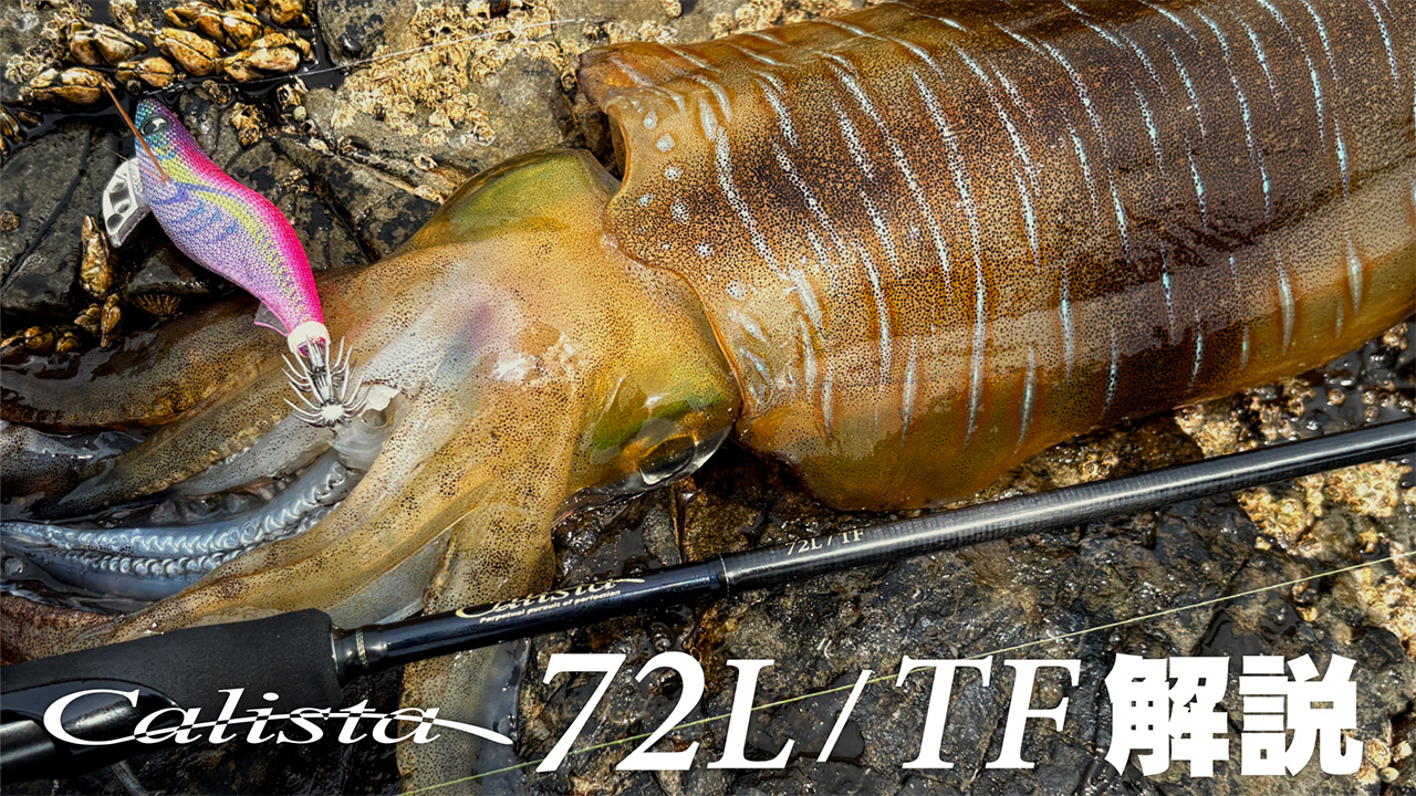 【解説ブログ】Calista 72L/TF ｜喰わせ特化の切り札