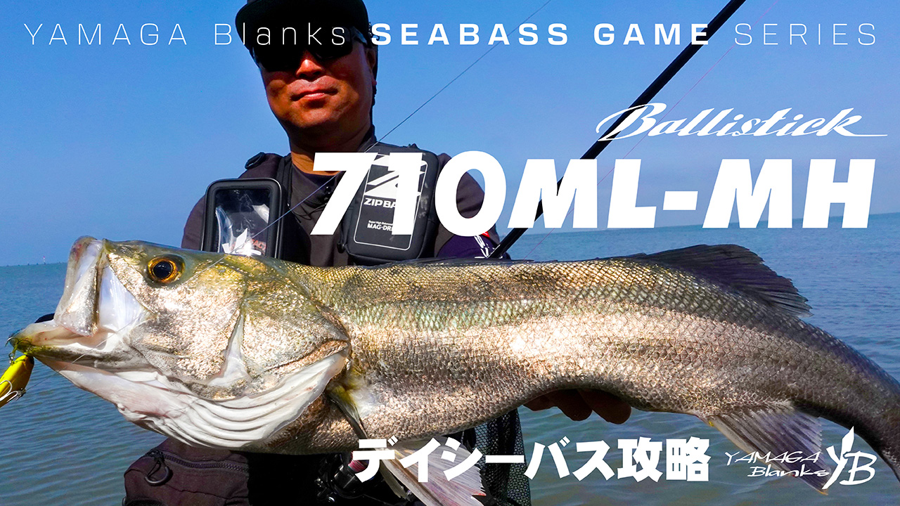 【実釣解説動画】バリスティック710ML-MH｜ジャーキングとバイブレーションで春のデイシーバス攻略