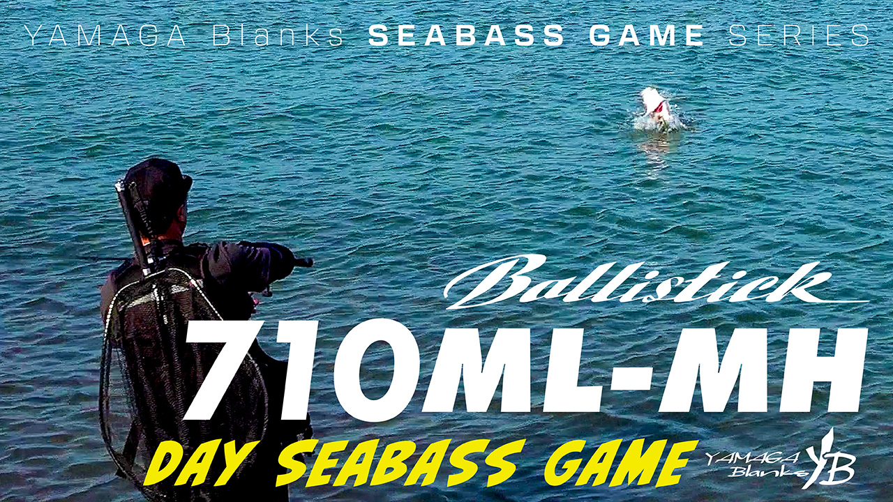 Ballistick 710ML-MH | Spring Daytime Seabass Tactics with Jerkbaits & Vibes