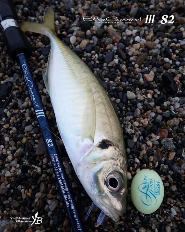 YAMAGA Blanks - ルアーロッド New Ballistick | YAMAGA Blanks