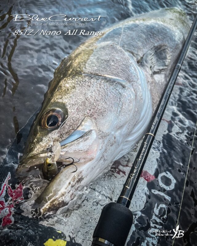 ヤマガブランクス釣竿になります LINN for STREAM OF JAPAN - ヤマガブランクス FLYサイト