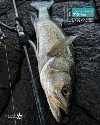 YAMAGA Blanks ショアジギングロッド Galahad | YAMAGA Blanks