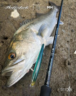 ヤマガブランクス | 釣竿・ロッドメーカーサイト