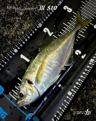 ヤマガブランクス | 釣竿・ロッドメーカーサイトYAMAGA Blanks